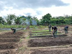 Yonif 141/AYJP Dukung Program Ketahanan Pangan dengan Urban Farming