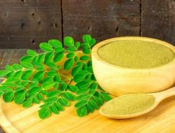 Meskipun Banyak Manfaat Kesehatan, Ini Bahaya Daun Kelor Jika Dikonsumsi Berlebihan