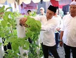 Pemkab Bogor Distribusikan 500 Ribu Bibit dan Resmikan Kampung Hidroponik di Megamendung