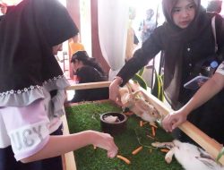 Mini Zoo Diskanak Jadi Magnet di HJB ke-543, Edukasi Fauna Eksotik Tarik Minat Warga