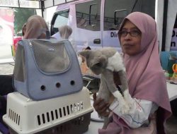 Stand Layanan Kesehatan Hewan Diskanak Bogor Ramai Dikunjungi di Kabogorfest 2025